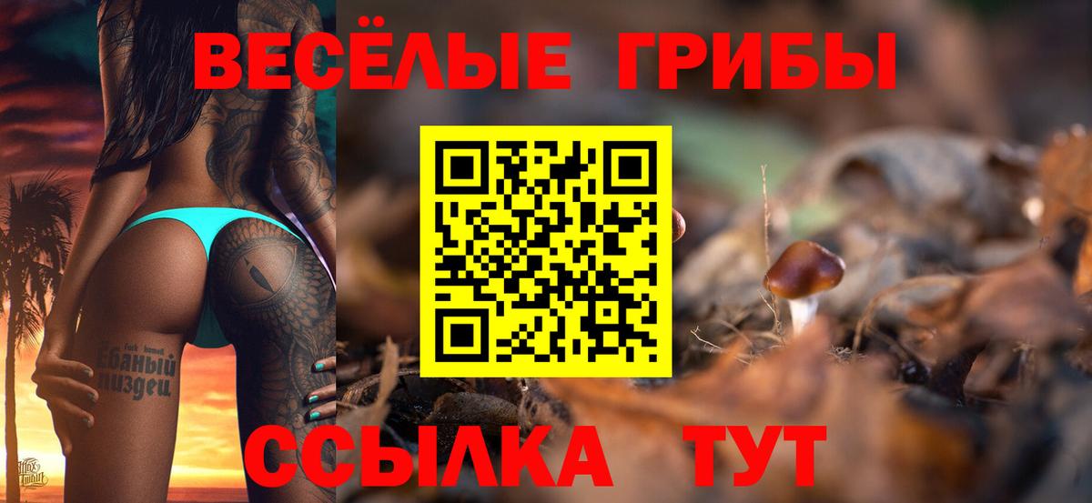 купить наркотик  Галлюциногенные грибы ЛСД  Вход с VPN  Нижневартовск 